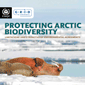 Biodiversity, the Arctic and the International Community - new report from UNEP