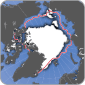 Arctic sea ice, august 2012