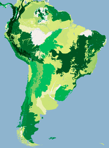 Endemic species per biome