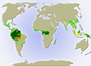Globalis rainforest portal