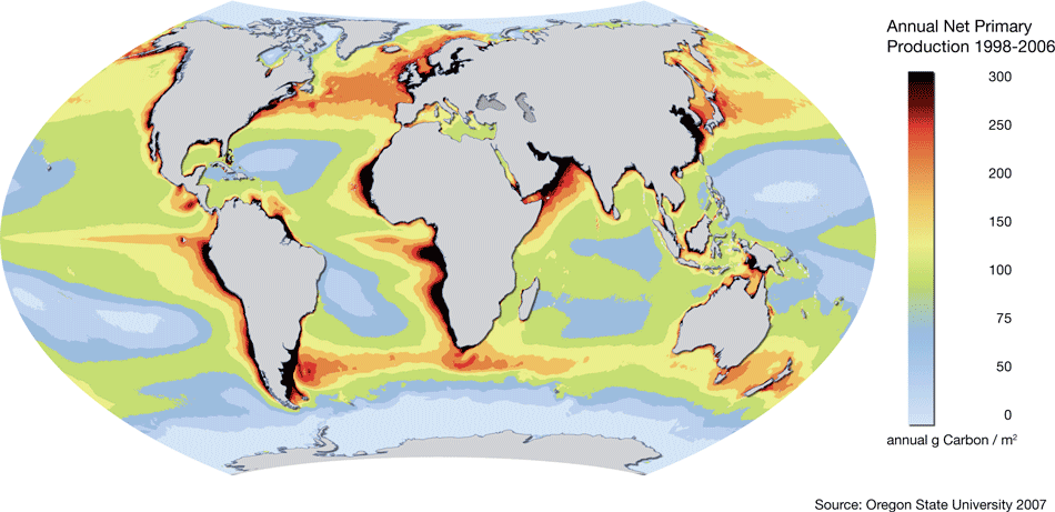 Русский Север на итальянской карте Стефано Бонсиньоре. Ocean_productivity_full