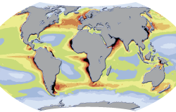 World map of ocean productivity