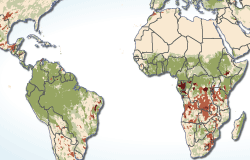 Thumbnail for graphic: World map of changes in land primary productivity 1981-2003 - land degradation and greening