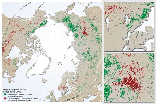 Greening in the Arctic