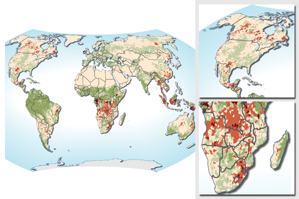 World map of changes in productivity 1981-2003 - land degradation and greening