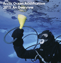 Arctic Ocean Acidification 2013: An Overview